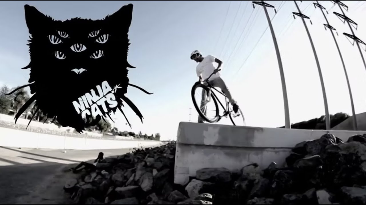 FLASHBACK: Johnathan Ball for Ninjacats 2013