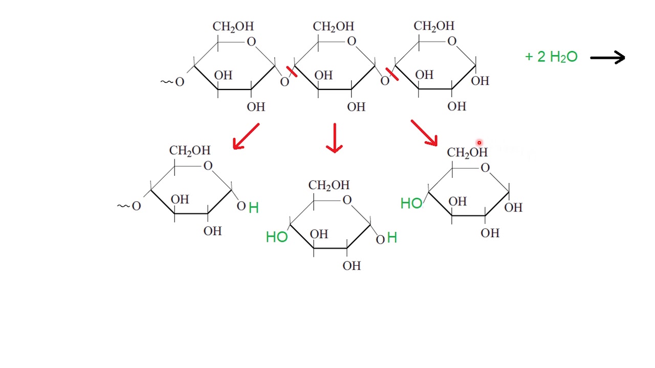 Oefeningen met koolhydraten incl. hydrolyse