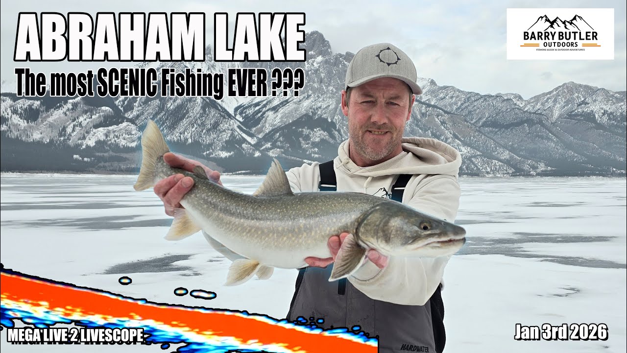 The most SCENIC Fishing spot EVER ??? - MEGA Trout Caught !