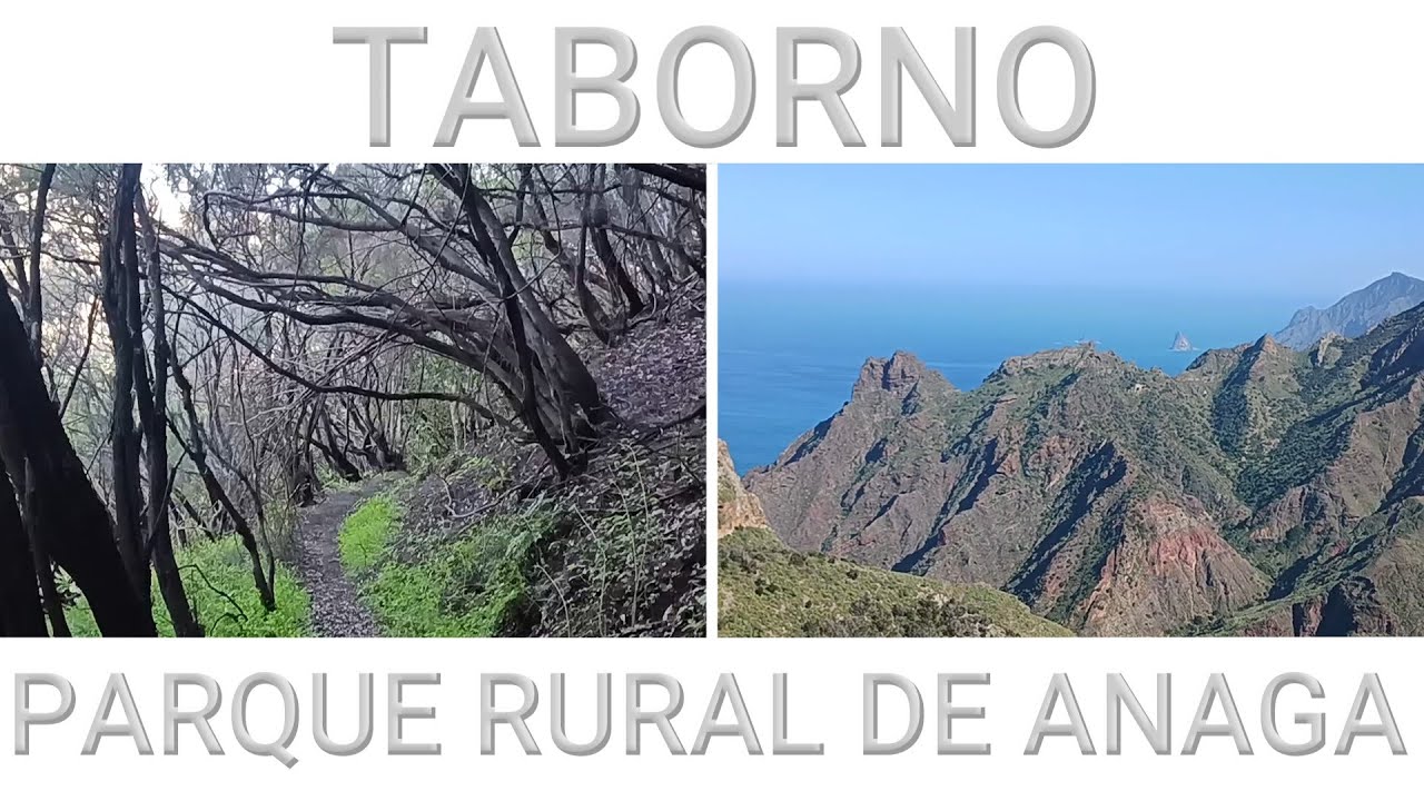 Senderos de Tenerife: Ruta circular por TABORNO. Parque Rural de Anaga.