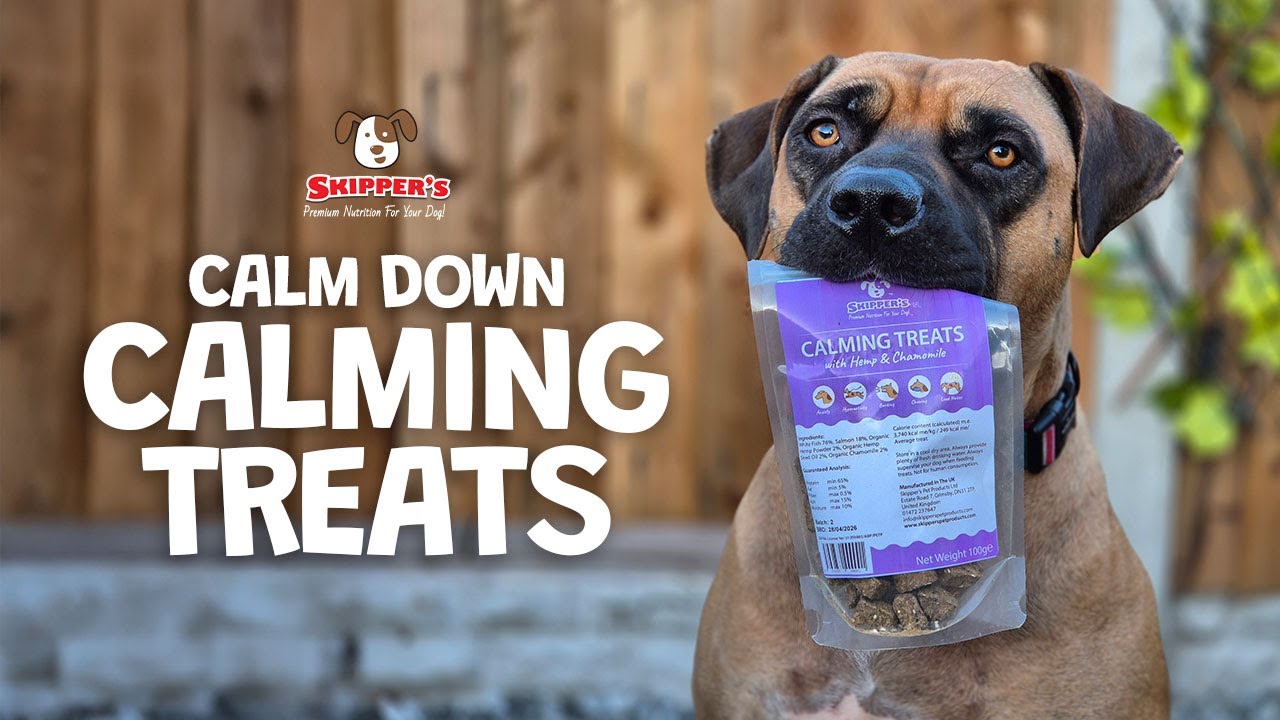 Dog Anxiety SOLVED With Fish Treats!