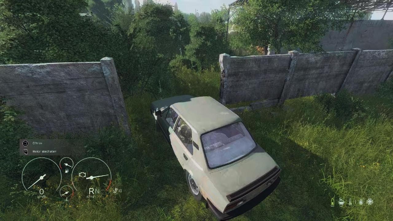 DayZ