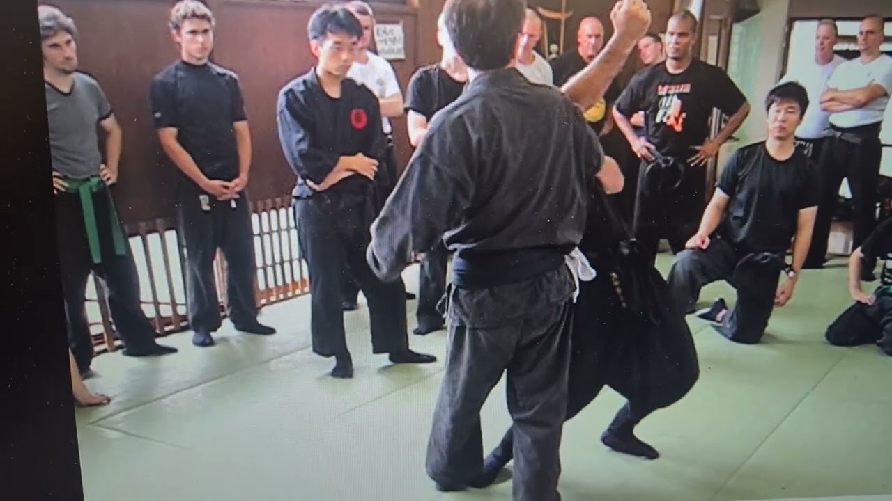 Bujinkan Ninjutsu Senno Sensei / Christophe Ayen