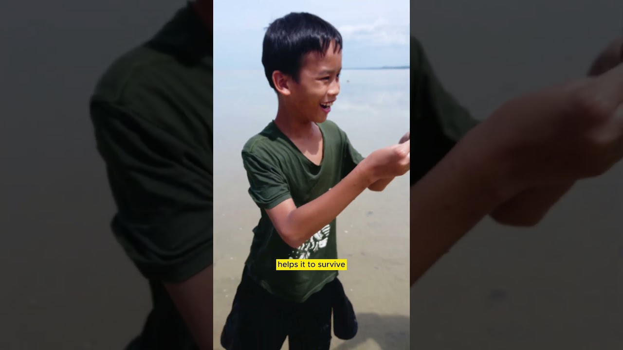 PYW26 | Perch your worries for a while at Pantai Morib Baru  #outdoor #animals #worryfree #stress