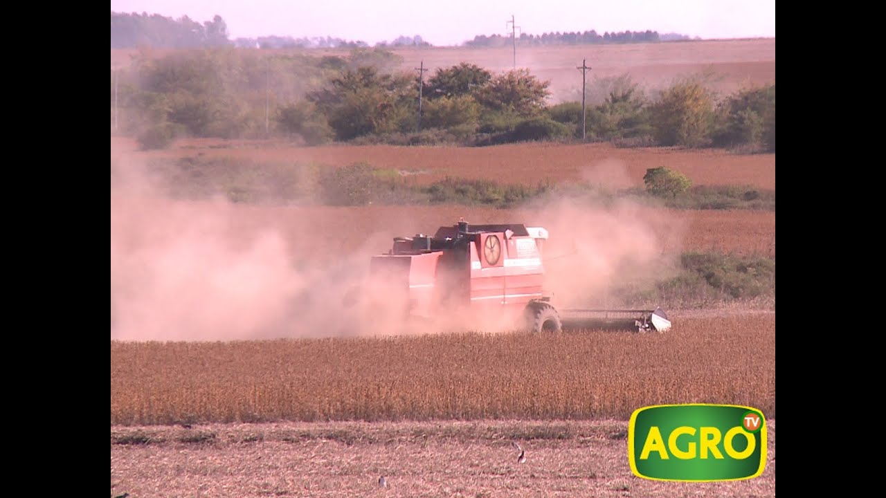 Terrazas, la solución para las cárcavas en campos entrerrianos. (#562 2014-05-10)