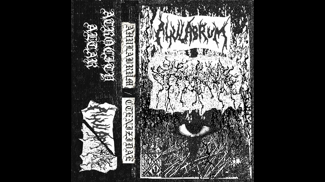 Ahulabrum / Ctenizidae (US) - S/T (Split 2024)
