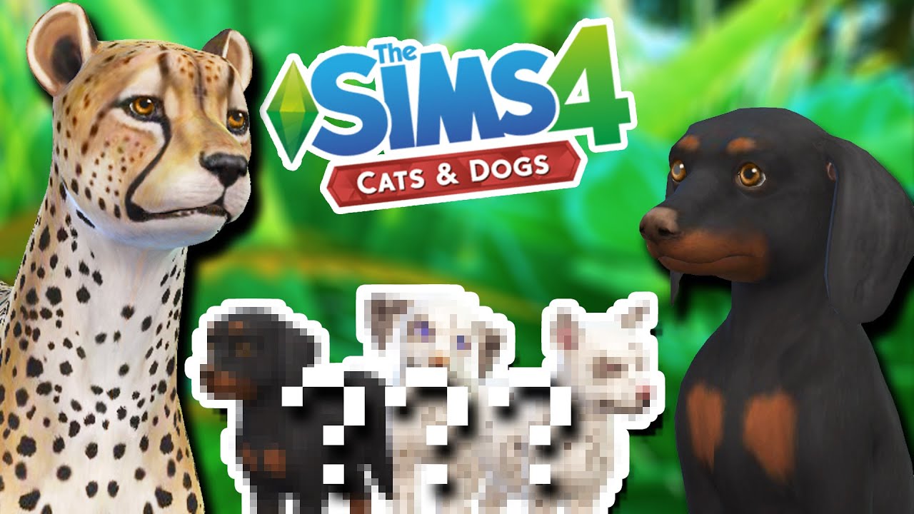 Помесь гепарда и таксы?! 🐆💕🐶