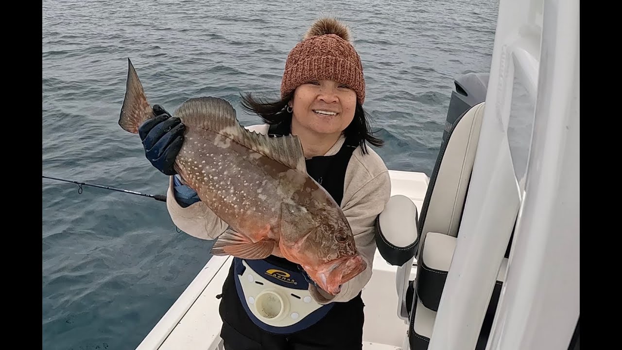 Groupers on the Emerald Coast
