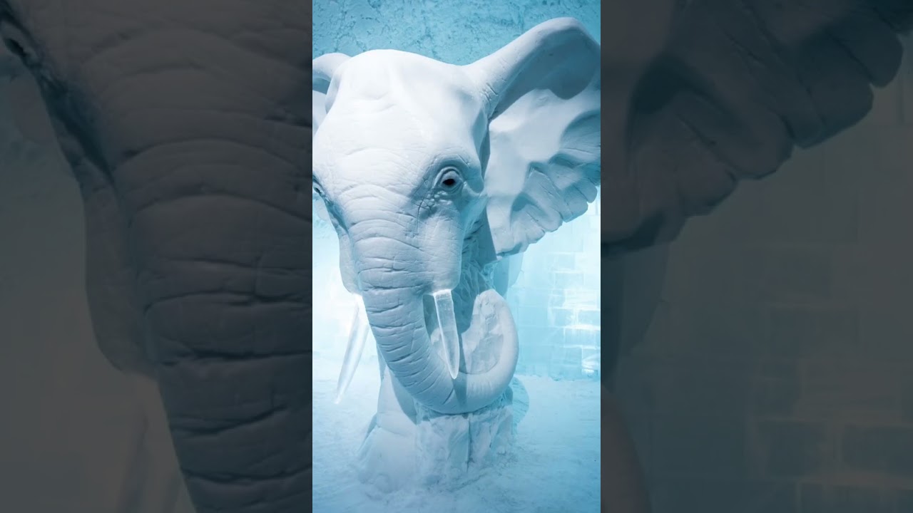 Wonderful snow sculptures ❤️❤️❤️❤️❤️