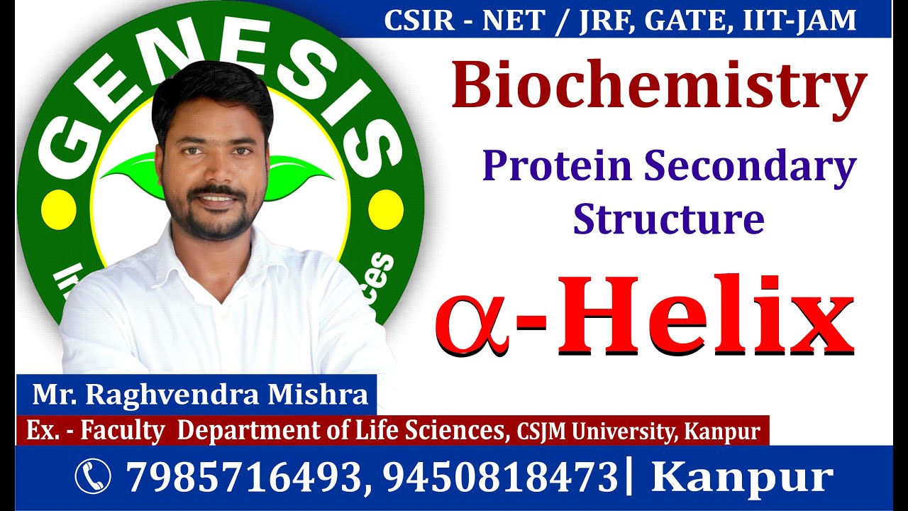 Alpha helix structure of protein : Biochemistry #CSIR, #JRF, #GATE, #DBT, #ICMR #JNU PhD