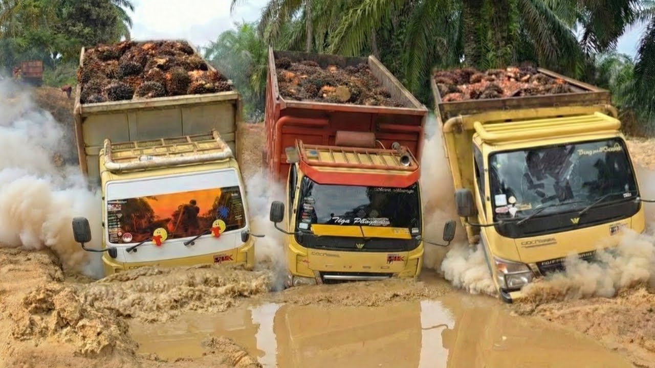 Jalan Yang Mustahil Dilewati || Perjuangan Tersulit Sopir Truck Di Pedalaman Riau Indonesia