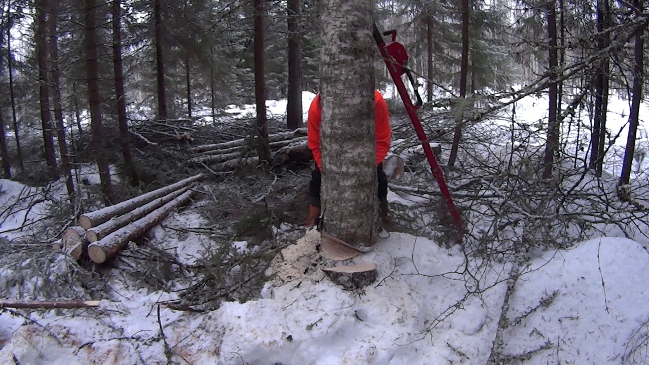 Mitenkä mäni niinku omasta mielestä?