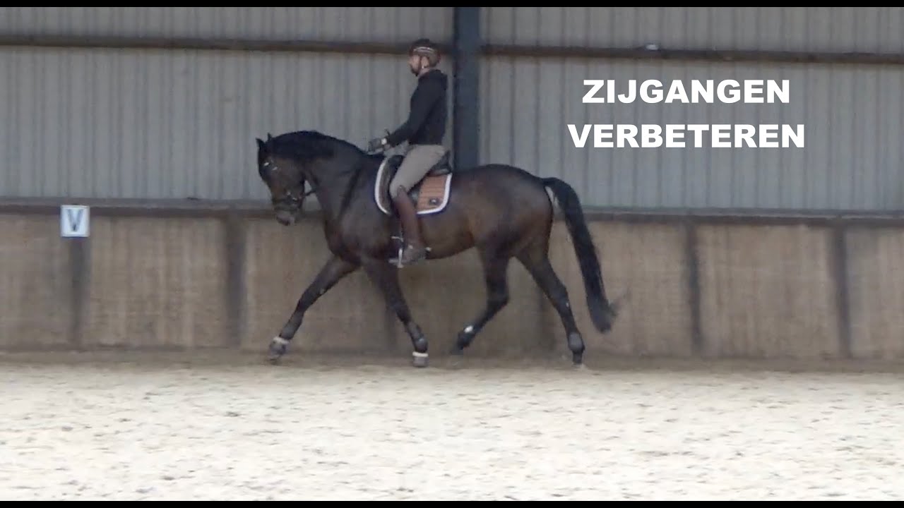 Zijgangen verbeteren | Dressuurstal Bloem