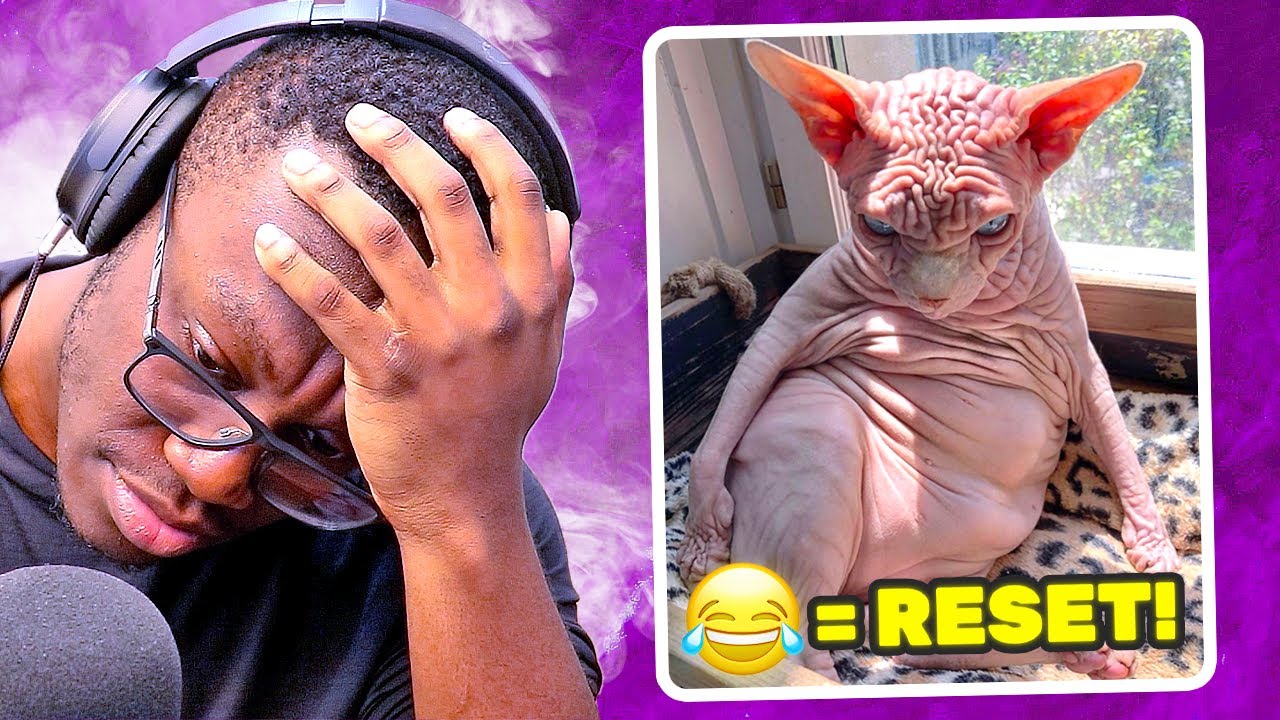 YOU LAUGH YOU RESTART
