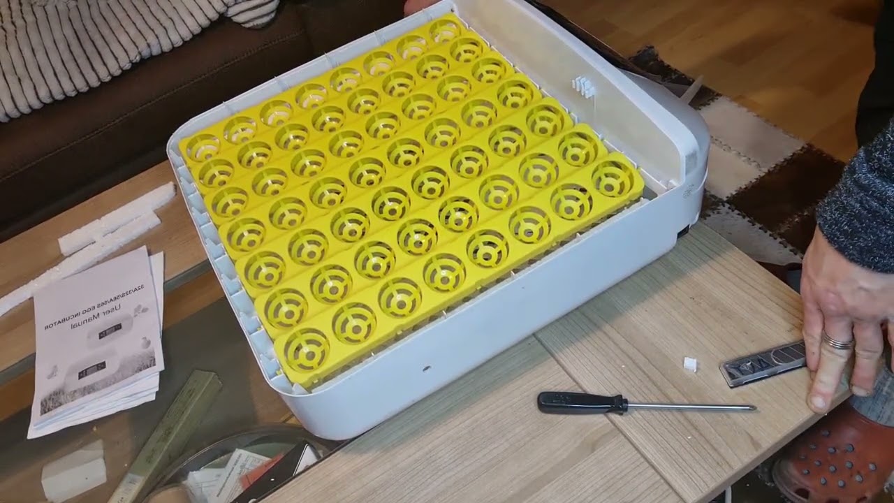 Ohh mein gott 29 min video. Incupator Wachteln züchten.