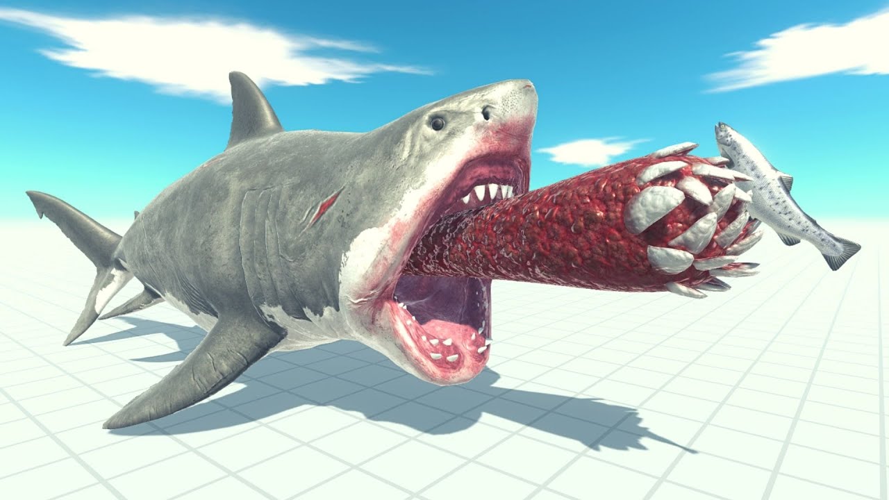 New Unit! Mutant Megalodon Vs Every Unit ARBS | Animal Revolt Battle Simulator