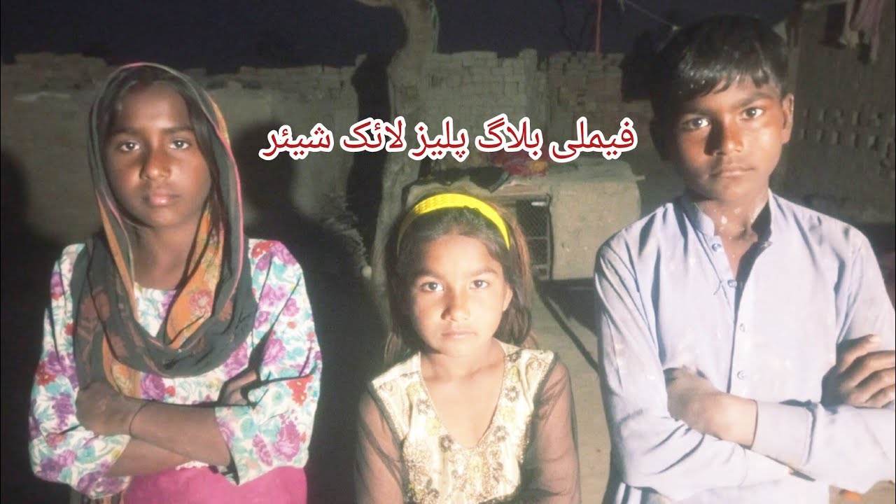 پنجابی ولوگ