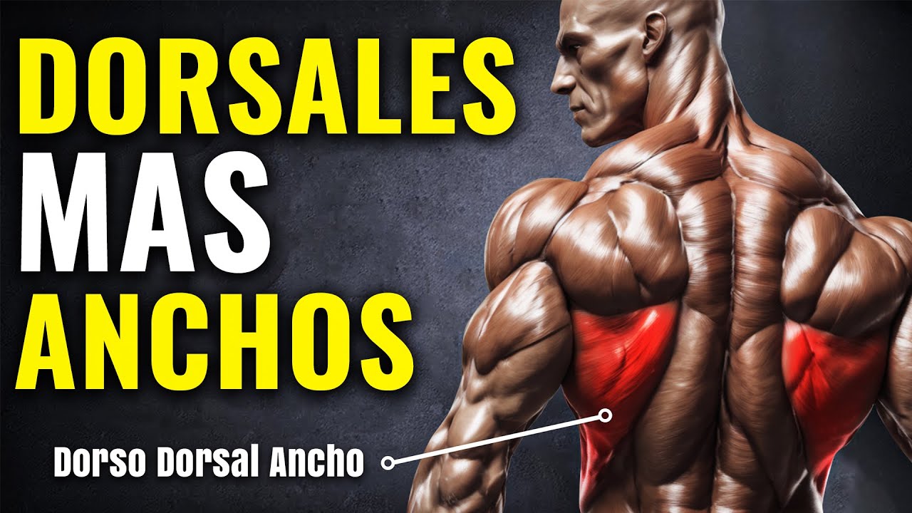 C&oacute;mo Desarrollar Tus DORSALES: La Gu&iacute;a Definitiva(Basado En Estudios)