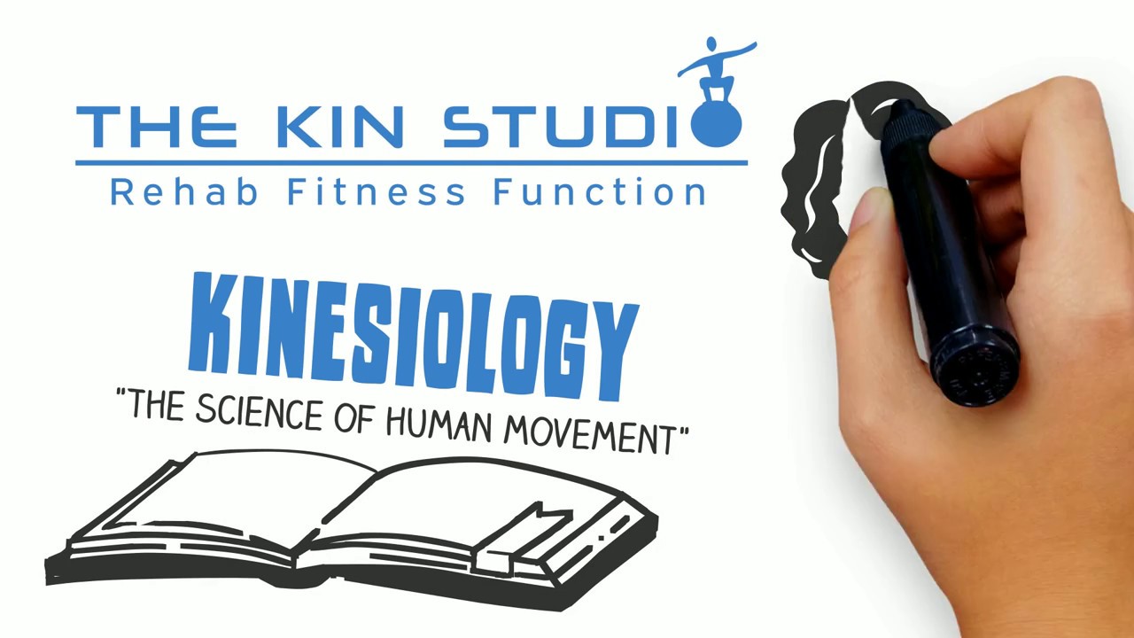 What Is Kinesiology?