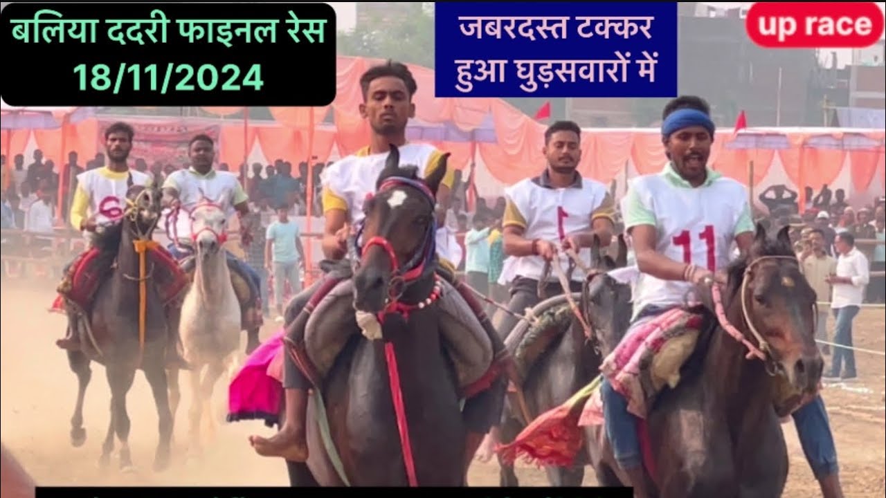 Baliya Dadri final horse race video 2024 #horse #uprace #horseracing #horseriding #horsesports