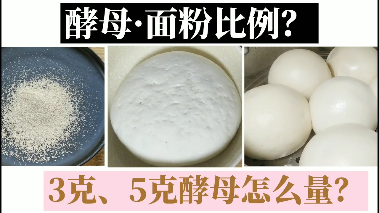 蒸馒头，酵母和面粉的比例是多少？沒有電子秤怎麼量酵母？乾貨分享