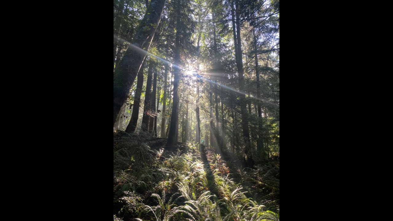 Pacific Northwest Trail (PNT) Fidalgo Island