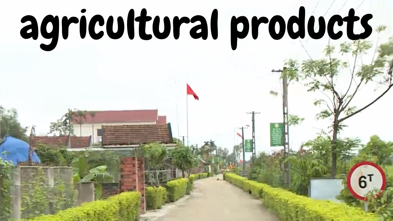 Cam Yen reinforces new rural criteria, commercializes local agricultural products - SEL