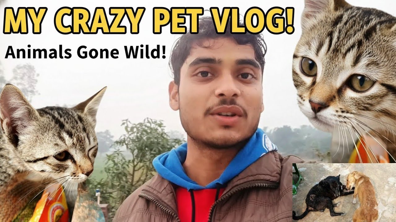 Aaj tabiyat kharab ho gya🤒 #vlogging_with_rajan 