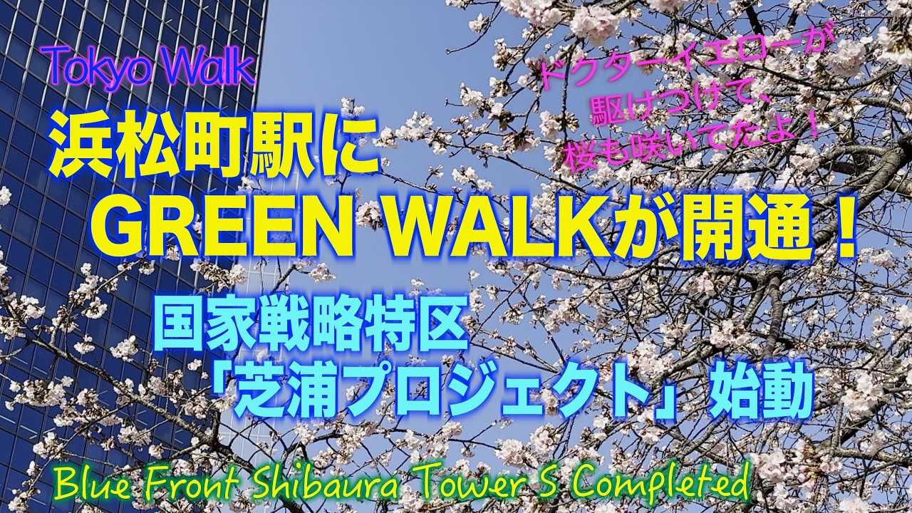 【 4K 】浜松町駅に新通路が開通 ”春だ、桜だ、ブルーフロント芝浦だ！”  ドクターイエローも駆けつけた Green Walk、いよいよ始動した国家戦略特区 第二章 芝浦プロジェクト