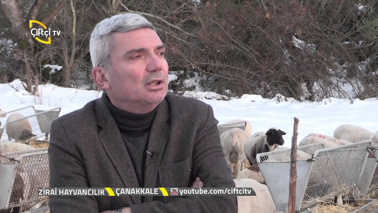 Zirai Hayvancılık-Dorper Koyun Irkı Özellikleri....