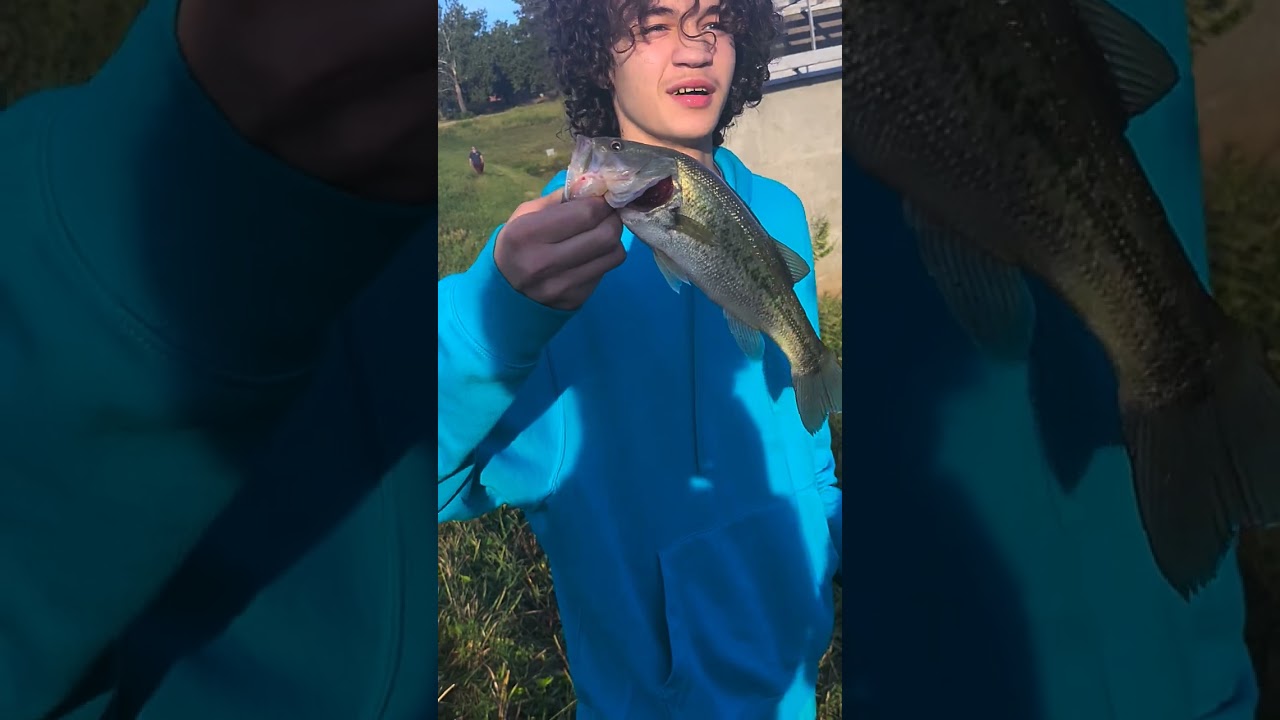 #freshwaterfishingnovice #bassfishing #bassfish #fishing #fish #bassfishingismylife little bass