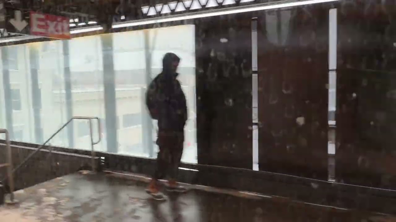 New York subway storm Fern N Train DitMars Blvd too Queens Plaza white out 2026