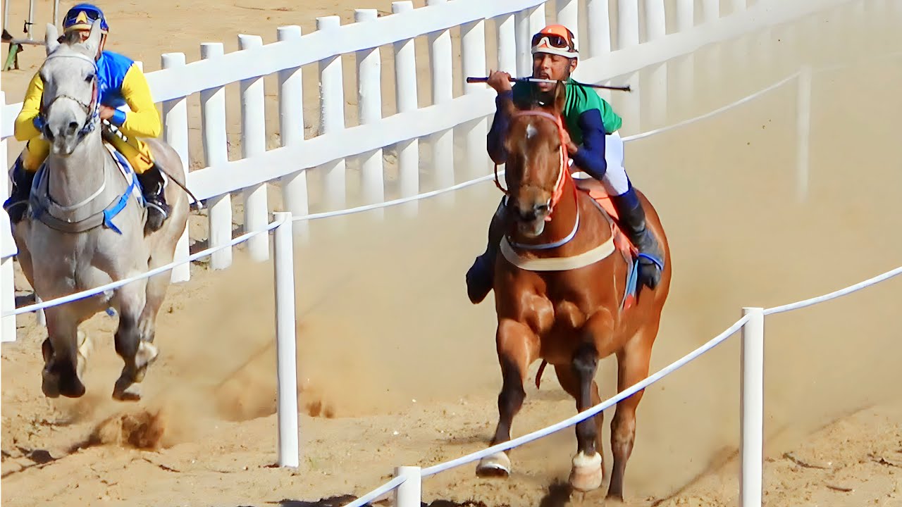 28ª Corrida de Cavalos - São Geraldo do Baixio/MG - COMPLETO!