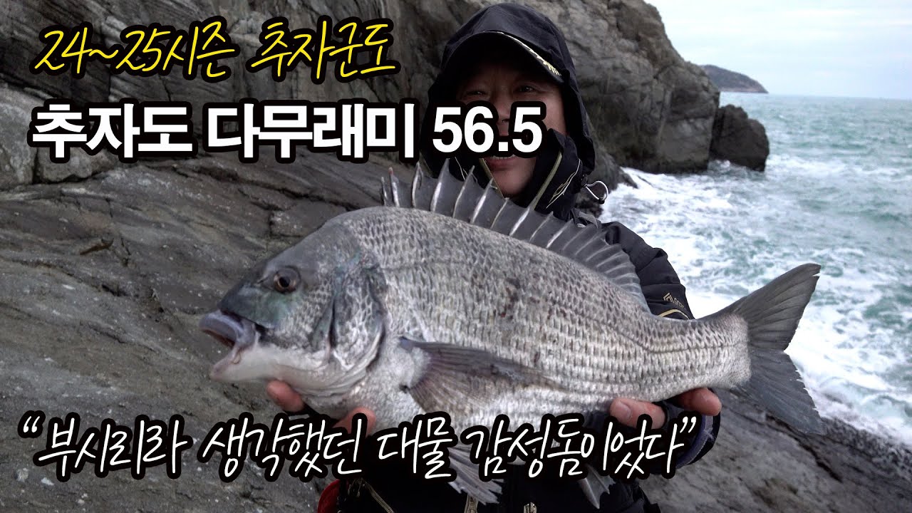 추자군도 다무래미 56.5