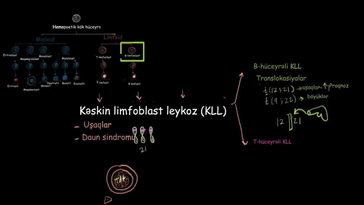 Kəskin leykoz
