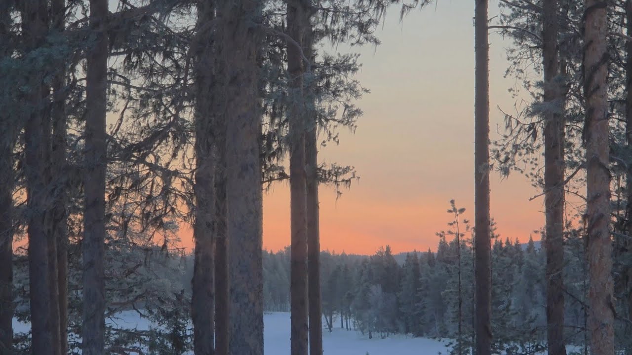 A quiet winter day at home