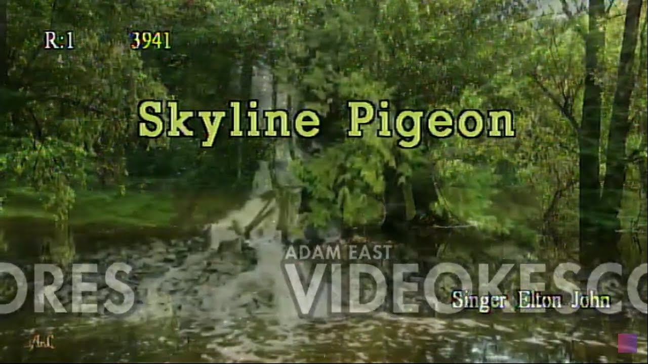 Elton John - Skyline Pigeon (Karaoke/Lyrics/Instrumental)
