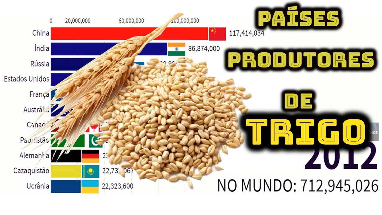Maiores Países Produtores de TRIGO no mundo