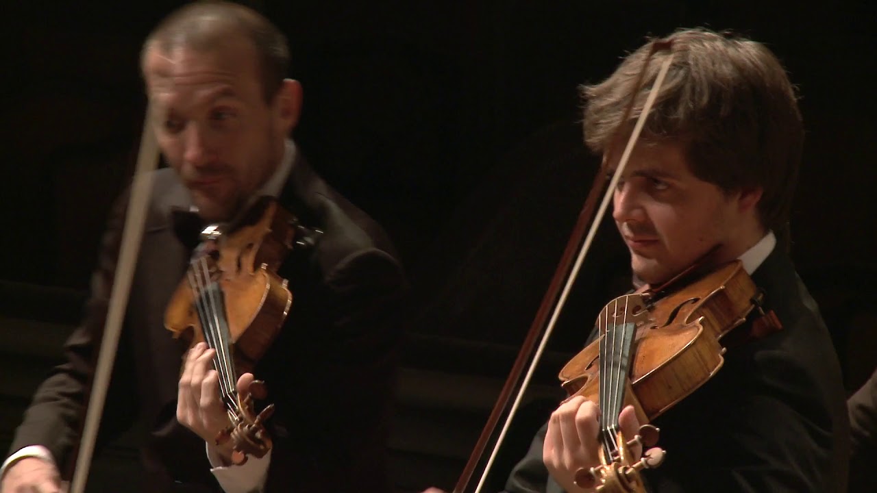 Ignace Pleyel, Symphonie concertante in B flat, B.112 (1/2)