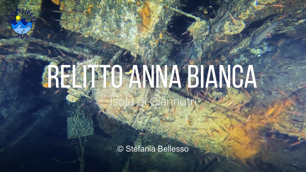 Immersione sul Relitto Anna Bianca sull'Isola di Giannutri - Diving on Anna Bianca Wreck 4K
