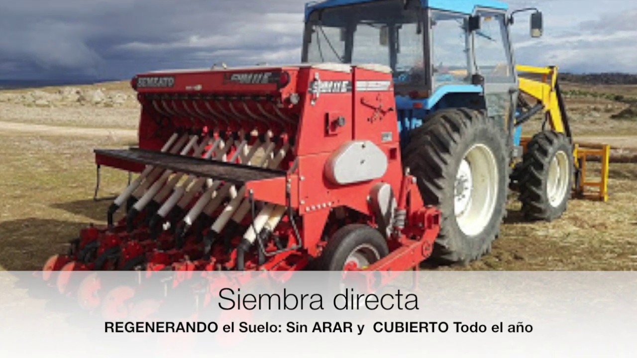 🚜 Siembra Directa I Pasture Cropping🚜