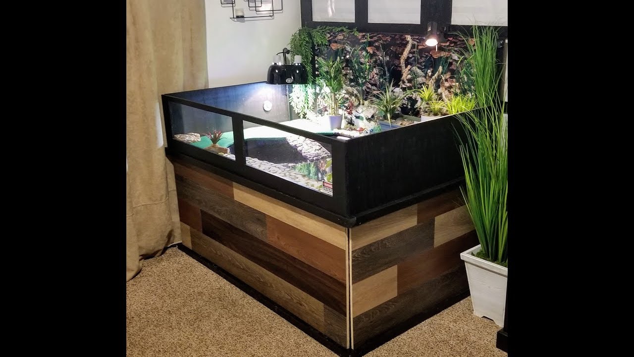 Turtle Pond Update