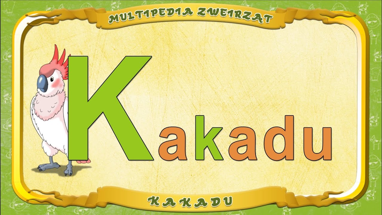 Multipedia Zwierząt. Litera K - Kakadu
