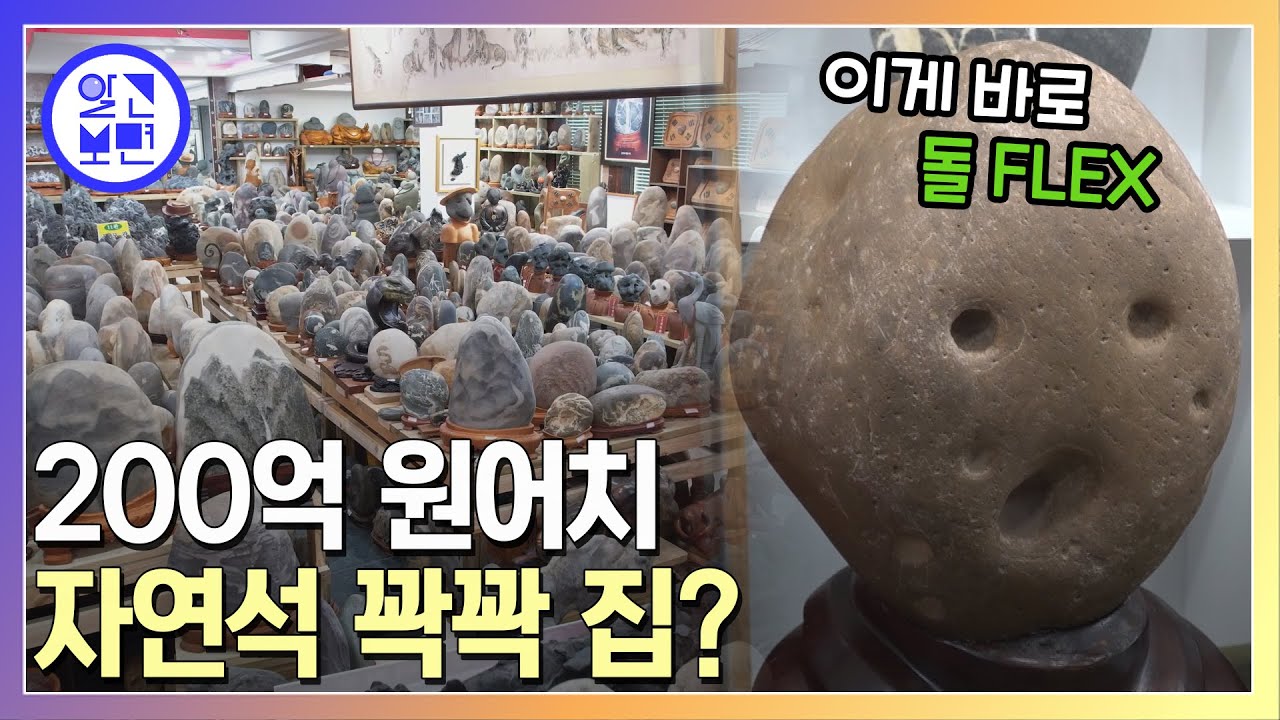 애완돌? 자연석! 46년 수집왕이 선보이는 희귀한 돌그림