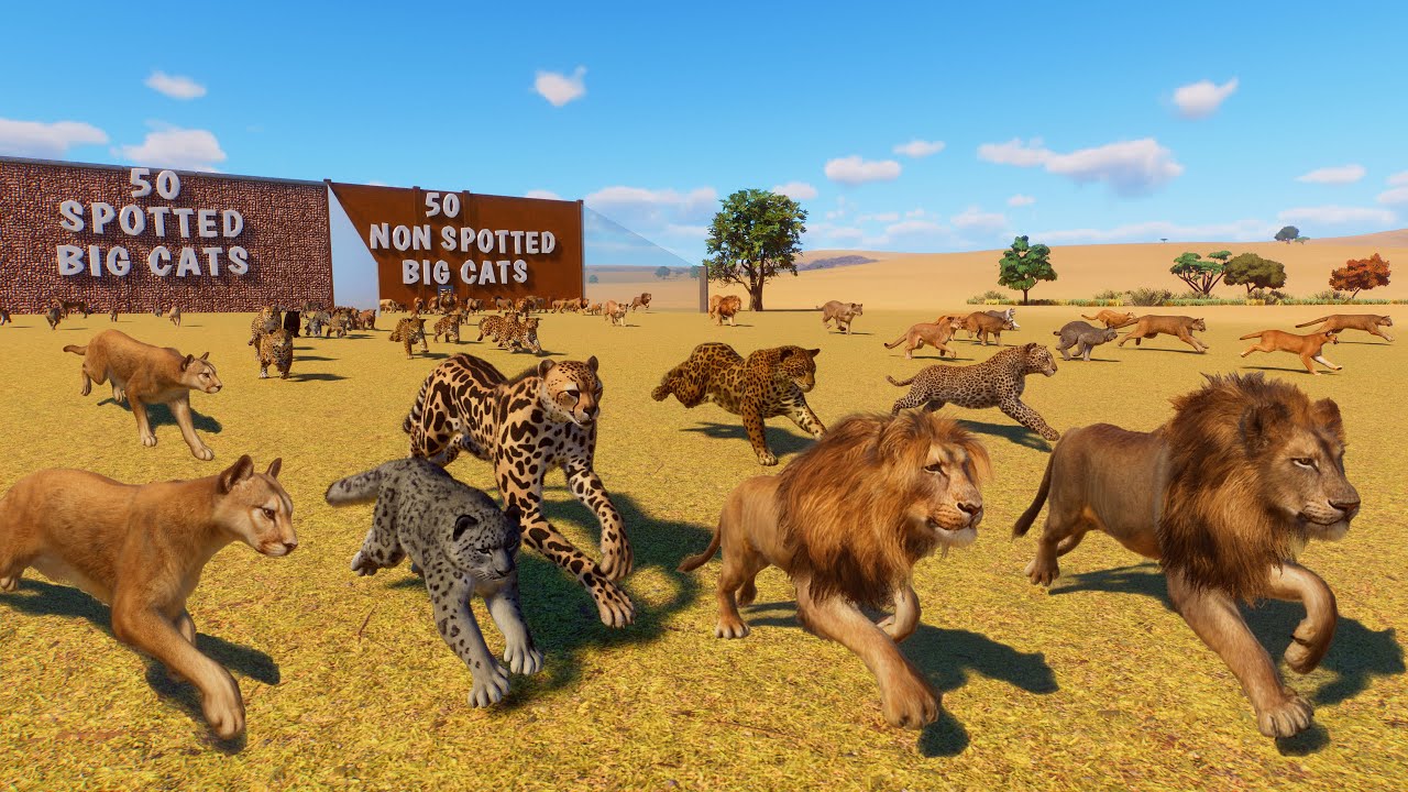 50 Spotted Big Cats VS 50 Non Spotted Big Cats Animal Race in Planet Zoo included Lion, Jaguar, Puma