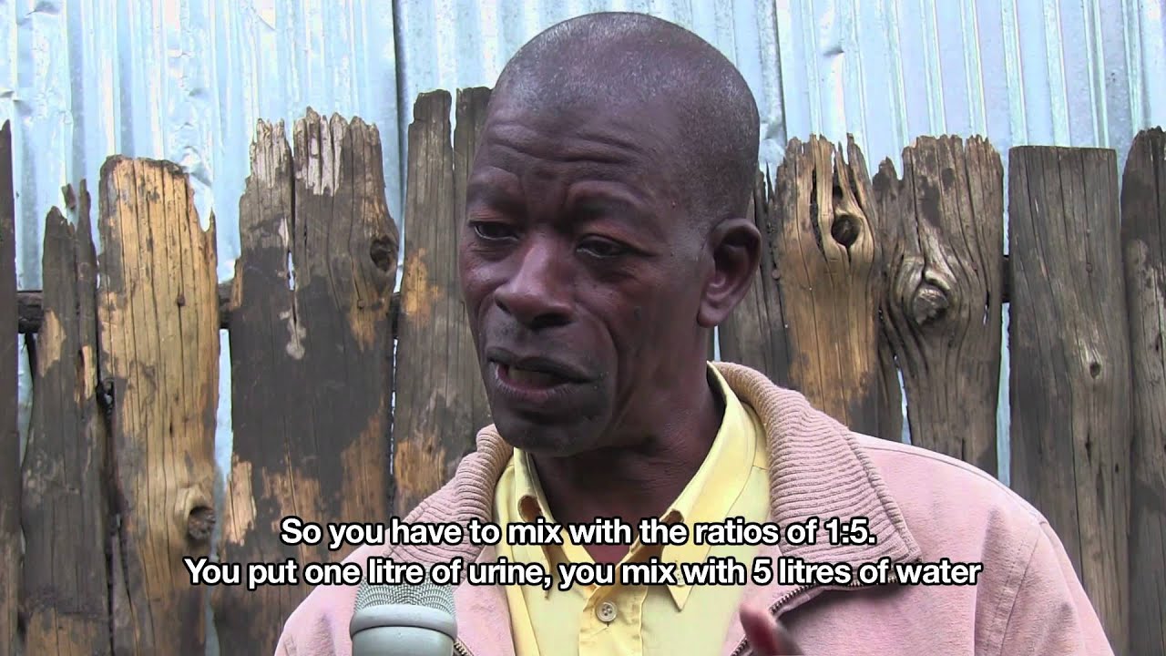 Rabbit Urine for Organic Farming - African Slum Journal