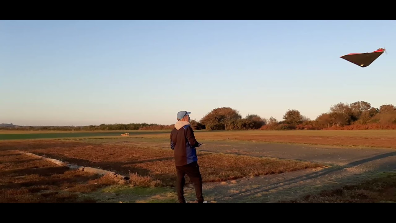 Aile Volante Delta R/C MUPPET