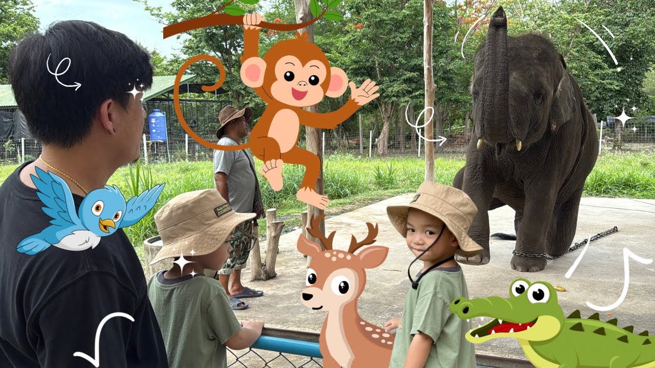 ดูช้าง ให้อาหารกวาง อยู่หัวหินแต่บรรยากาศเหมือนป่า | มิลานพาเที่ยว EP.5 สวนสัตว์ห้วยทราย หัวหิน