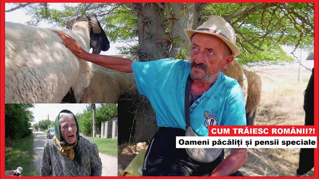 ROMÂNIA REALĂ | Oameni păcăliți, pensii NESIMȚITE și ajutoare sociale | Cum supraviețuiesc românii?!