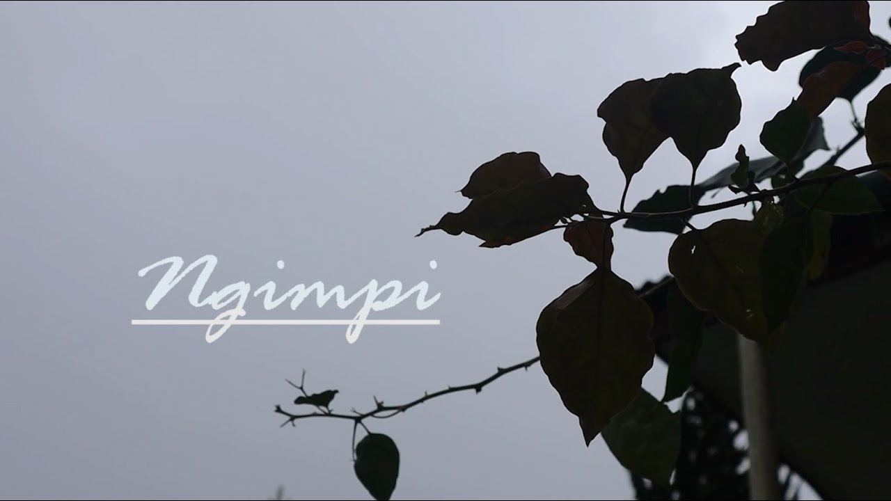 NGIMPI, Film Pendek SMPN 1 Pejawaran Kecamatan Pejawaran Kabupaten Banjarnegara